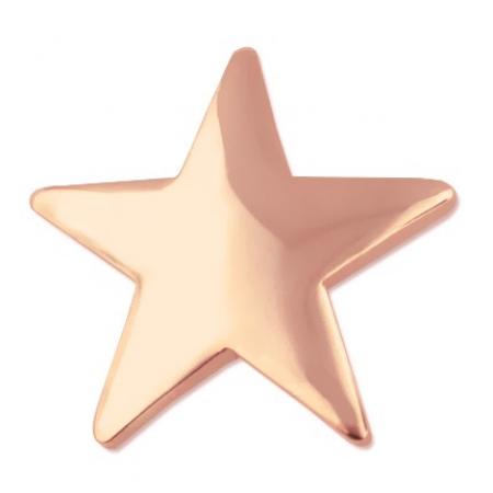 Copper Star Pin 