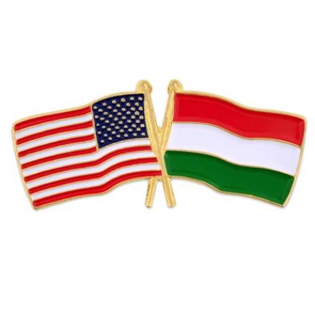 USA and Hungary Flag Pin 