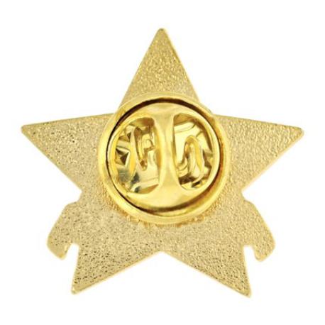     Star Volunteer Pin