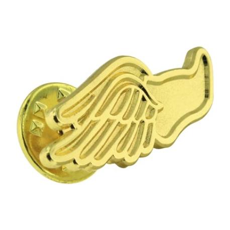     Gold Wing Shoe Chenille Pin