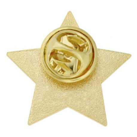     2022 Blue and Gold Star Pin