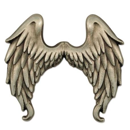     Angel Wings Pin