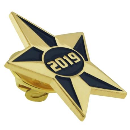     2019 Blue and Gold Star Pin