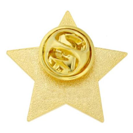     2021 Gold Star Pin