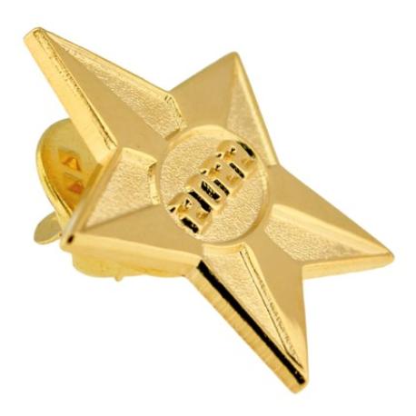     2022 Gold Star Pin