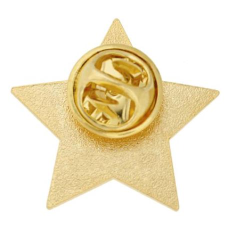     2022 Gold Star Pin