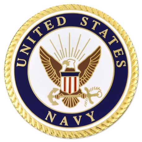     Large U.S. Navy Pin