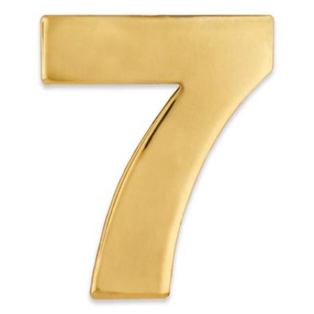     Number 7 Pin