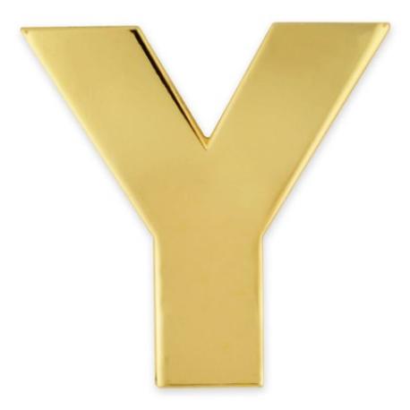     Letter Y Pin