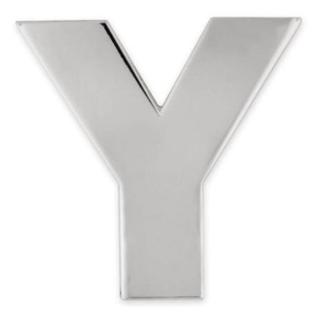     Letter Y Pin