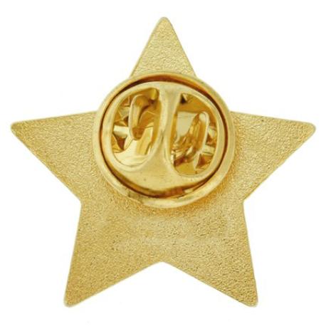     2020 Blue and Gold Star Pin