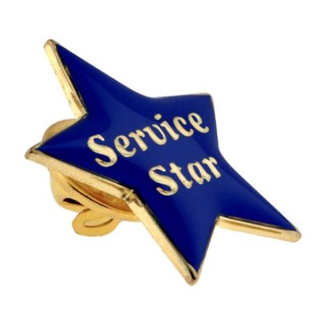     Service Star Pin - Blue and Gold