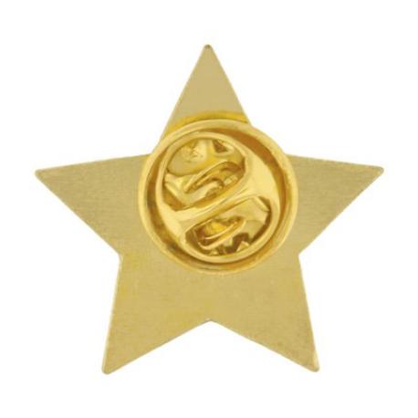     Service Star Pin - Blue and Gold