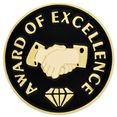     Award of Excellence Pin