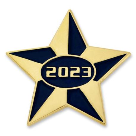     2023 Blue and Gold Star Pin