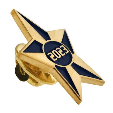     2023 Blue and Gold Star Pin