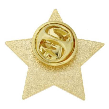     2023 Blue and Gold Star Pin