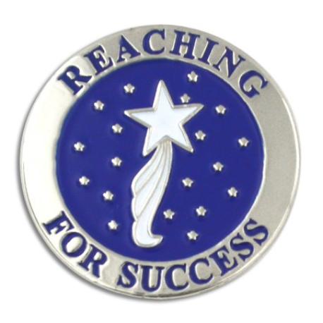     Reaching For Success Pin