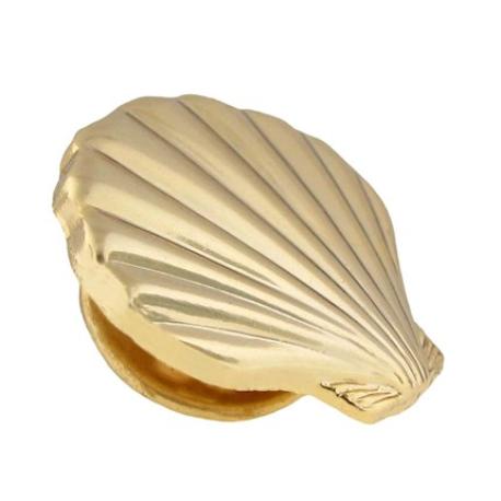     Sea Shell Pin