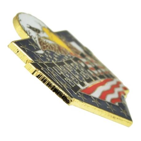     Veteran Eagle Pin Magnetic Back