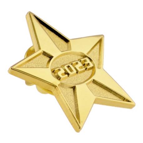     2023 Gold Star Pin