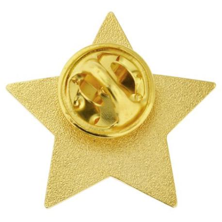     2023 Gold Star Pin