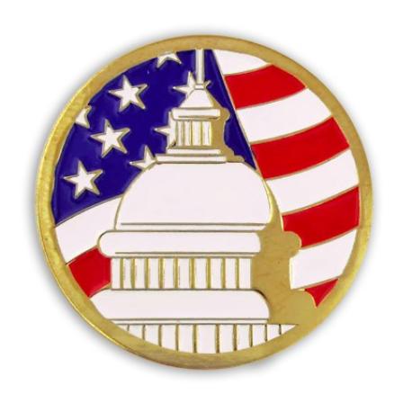     U.S. Capitol Building Pin