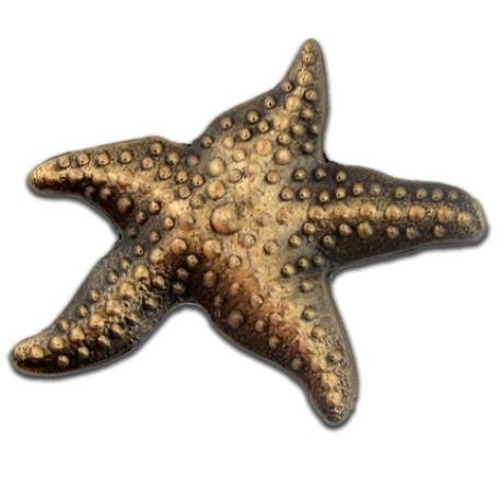     Starfish 3-D Lapel Pin