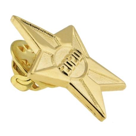     2020 Gold Star Pin