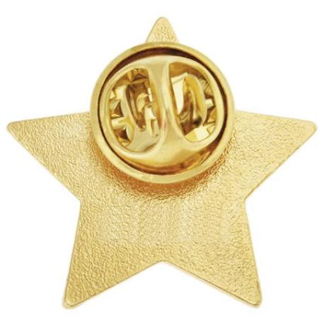     2020 Gold Star Pin