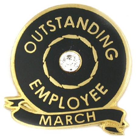     12 Month Outstanding Employee Pin Set