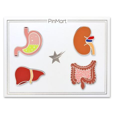     Human Internal Organs 4-Pin Set