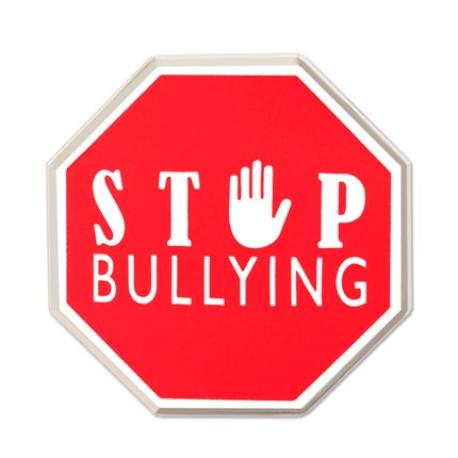     Stop Bullying Pin