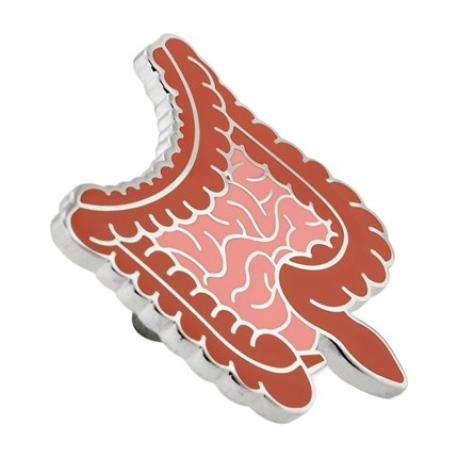     Human Internal Organs 4-Pin Set