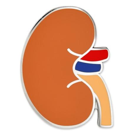     Human Kidney Pin