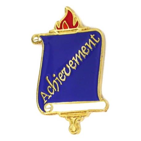     School Pin - Achievement