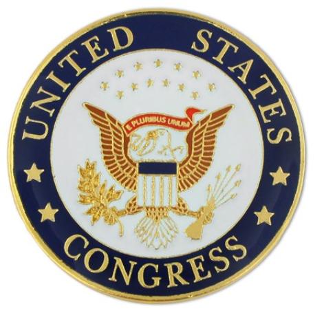     U.S. Congress Pin