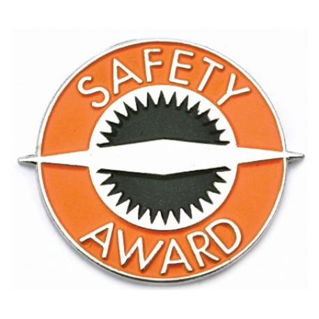     Safety Award Pin